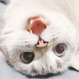 -muruo-