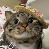 suckitgreenboy_03_01