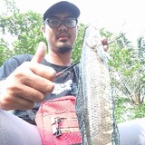 pemancing_kocolan