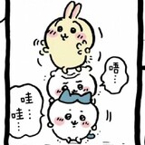 xingyunfancheyu
