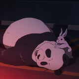 panda kelinci