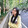 jiuniangxiaoshiyi