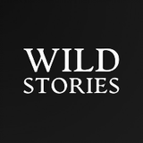 wildstories