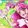 PriPara__World