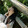 shunya_07