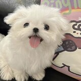 keonho--