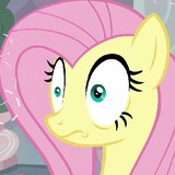 flutterdashieee