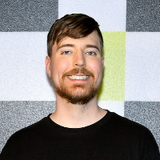 MrBeast (野兽先生)