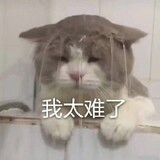 toothfairyq_03
