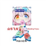shandongfeiyou