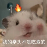 uuyangxiaogou