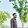 Md Imran Hosen1351