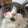 catcatriji