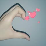 dongbeibeiaiqunxiang