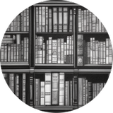 AI Knowledge Seeker