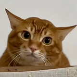 mo________