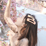 chuiminghehezi