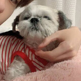 trulllllybc