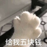 shuaidaowojiutanghao