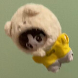 yikoucidiaoba