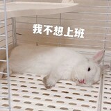 mianhuatangbu____ang
