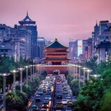 aizuoyanbaojiancao