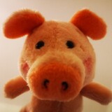pipizhupiggy