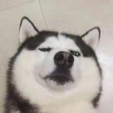 mubangzhucooc
