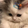 Iiwandy