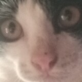 วินไม่กิน ก็เมา