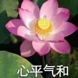 yilidounaifen
