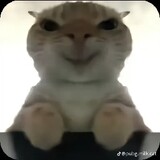 xp xd xc