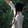 kid1412jiezi