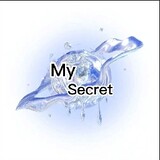 SecretStory'
