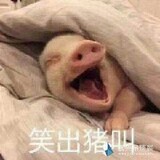 zhaodoudoudechaziw