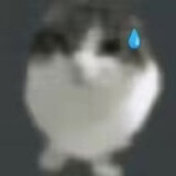 aigeyou-ds-___danfan