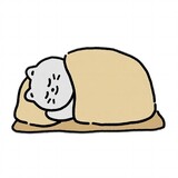 aiwanyundingのbuding