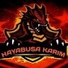 Hayabusa Karim