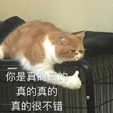 ムーbai