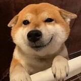 shizepeipei