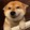 shizepeipei