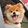 hogi_02_02