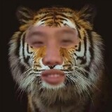 battlehuge
