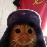 Soviet_Cat