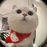 xiangzimuguo
