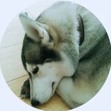 laohashizhi___rongha