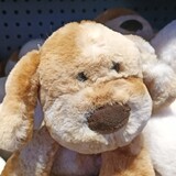 guaidanbolun