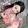 xuanercailai-ovo