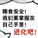 chaolushiyi