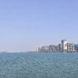 dashizaozhidao